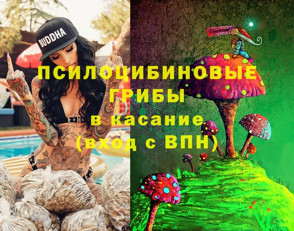 прущие крисы Вязьма
